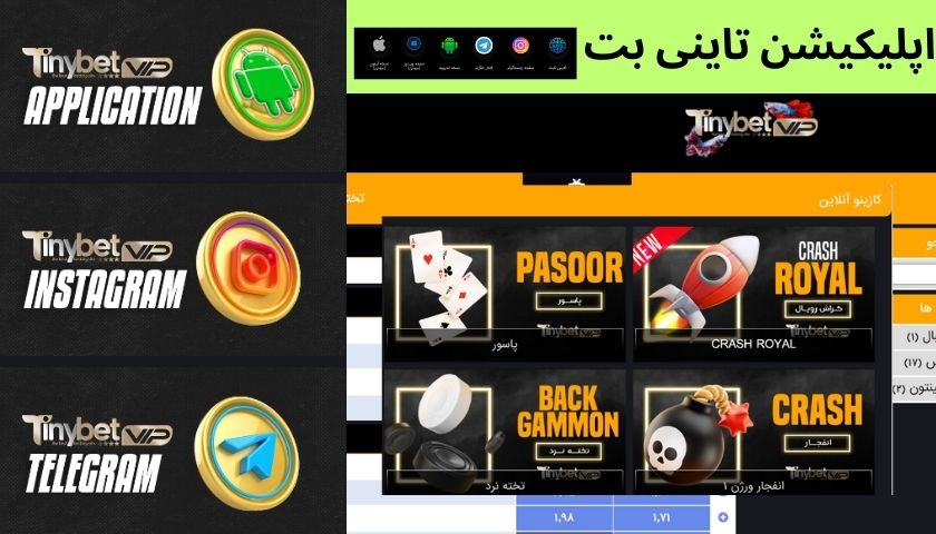 اپلیکیشن تاینی بت