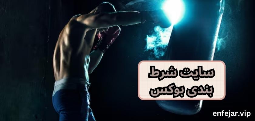 سایت شرط بندی بوکس