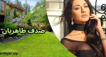 بیوگرافی صدف طاهریان ❤️ ماجرای کشف حجاب + عکس های لب استخر صدف و پویان
