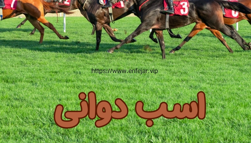 اسب دوانی