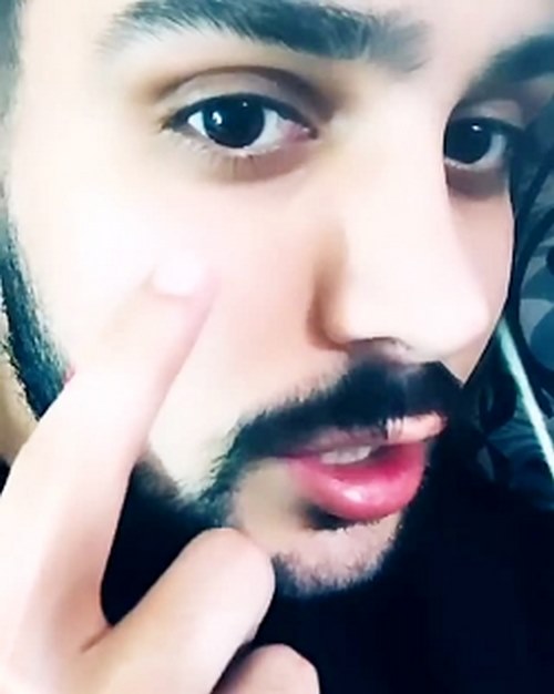 علاقه بهادر وحشی به استوری های آرمین احمدی 