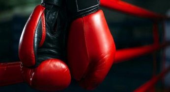 شرط بندی بازی های شورای جهانی بوکس (WBC)