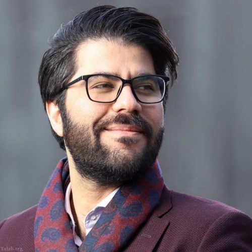 آیا حامد همایون تاکنون کنسرتی هم برگزار کرده است؟