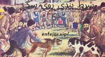 شرط بندی روی دعوای سگ ها با ضرایب باورنکردنی