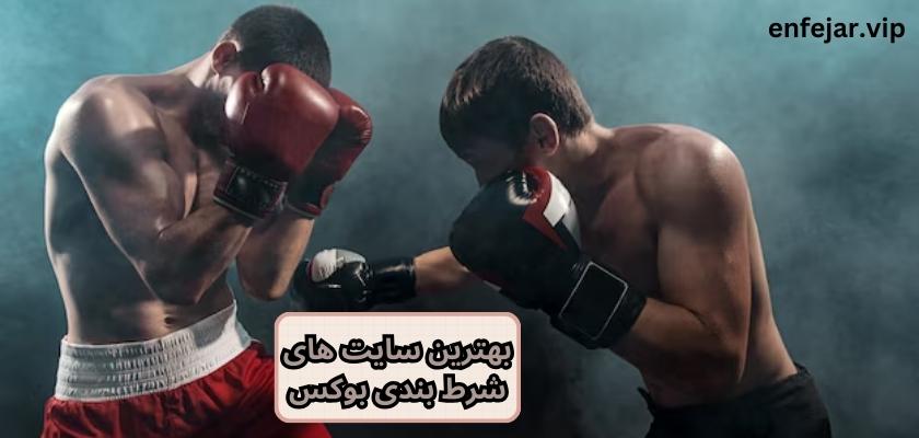 بهترین سایت های شرط بندی بوکس