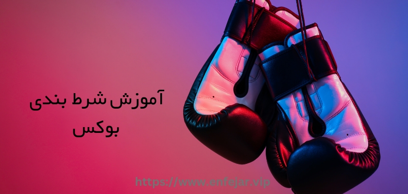 آموزش شرط بندی بوکس