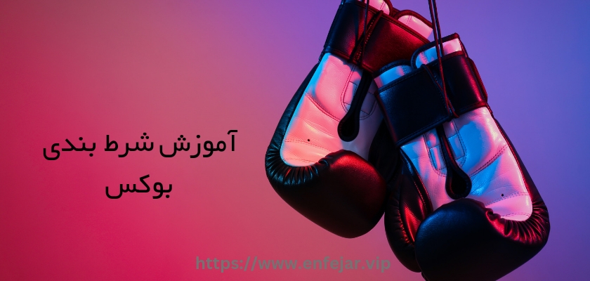 آموزش شرط بندی بوکس