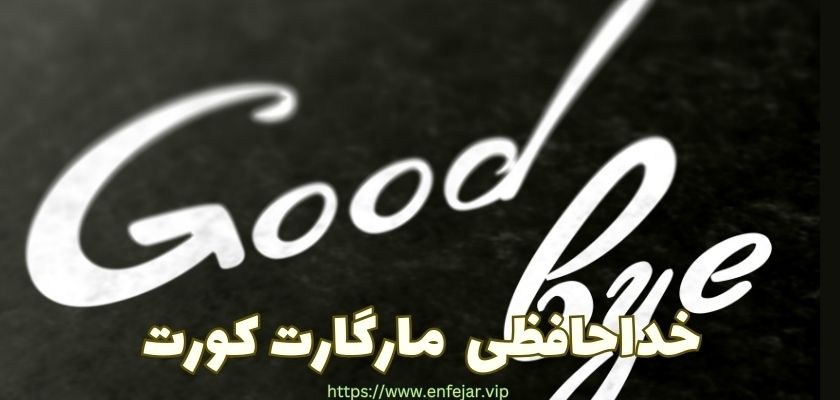 این تنیسور در چه سالی به تنیس حرفه‌ای خداحافظی گفت؟