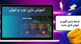 شرط بندی گوی و لیوان چیست و چگونه انجام می شود؟